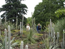  Jahresausflug Frankfurt Palmengarten 31